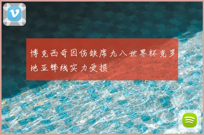 博克西奇因伤缺席九八世界杯克罗地亚锋线实力受损