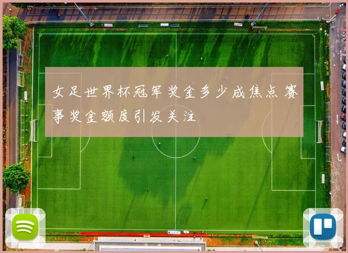 女足世界杯冠军奖金多少成焦点 赛事奖金额度引发关注