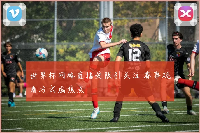 世界杯网络直播受限引关注 赛事观看方式成焦点